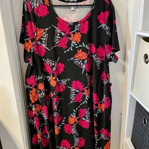 🔥2/$25🔥 XXL Carly Lularoe. Black background.